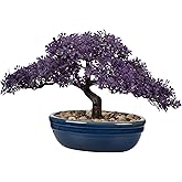 Artificial Bonsai Tree Juniper Faux Plants Indoor Fake Plants Decor with Blue Ceramic Pots for Home Table Office Desk Bathroom Shelf Bedroom Living Room Farmhouse Decorations
