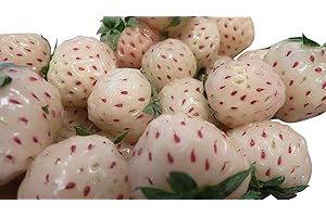 White Soul Strawberry 100 Seeds Fragaria vesca Containers Heirloom Non-GMO USA