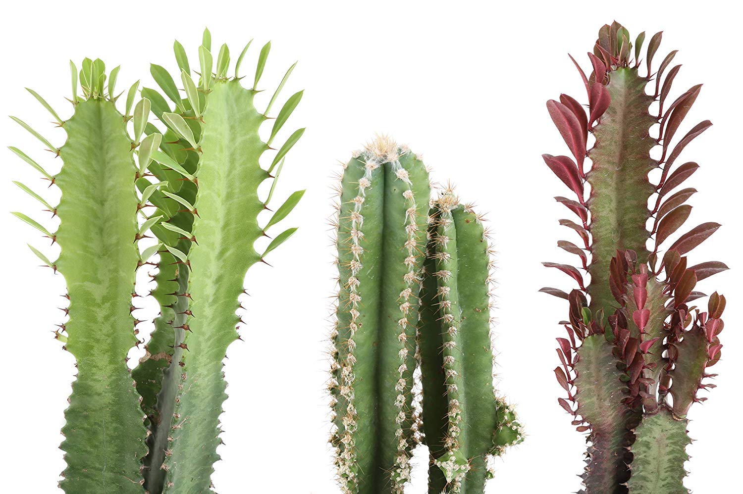 photography props diy