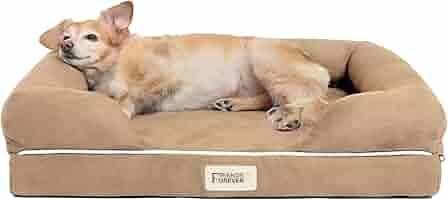 big dog beds amazon