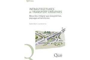 Infrastructures de transport créatives: Mieux les intégrer aux écosystèmes, paysages et territoires (Synthèses) (French Editi