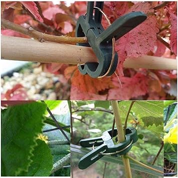 BELUPAI - Clips de sujeción para Plantas multifunción ...