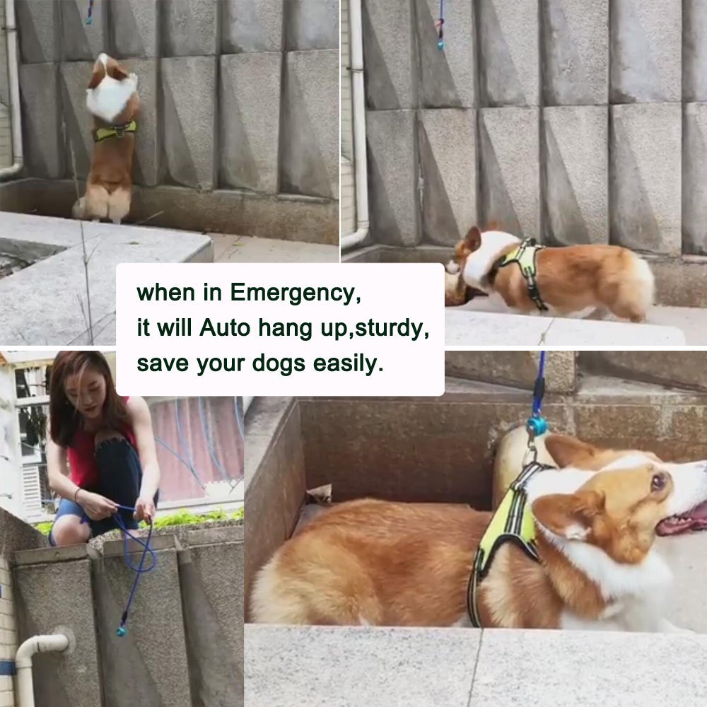 outdoortop Hands Free Leash Fastener - Strong Magnetic hook Pets Lock Carabiner Quick Link Nylon Climbing Rope Dog Leash Free Control-for Running Hiking Jogging and Walking for Small-Medium Dogs