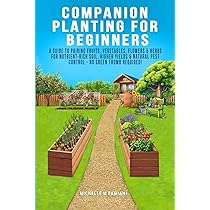 洋書　Planting Companions 81A9wRb72xL.jpg_BO30,255,255,