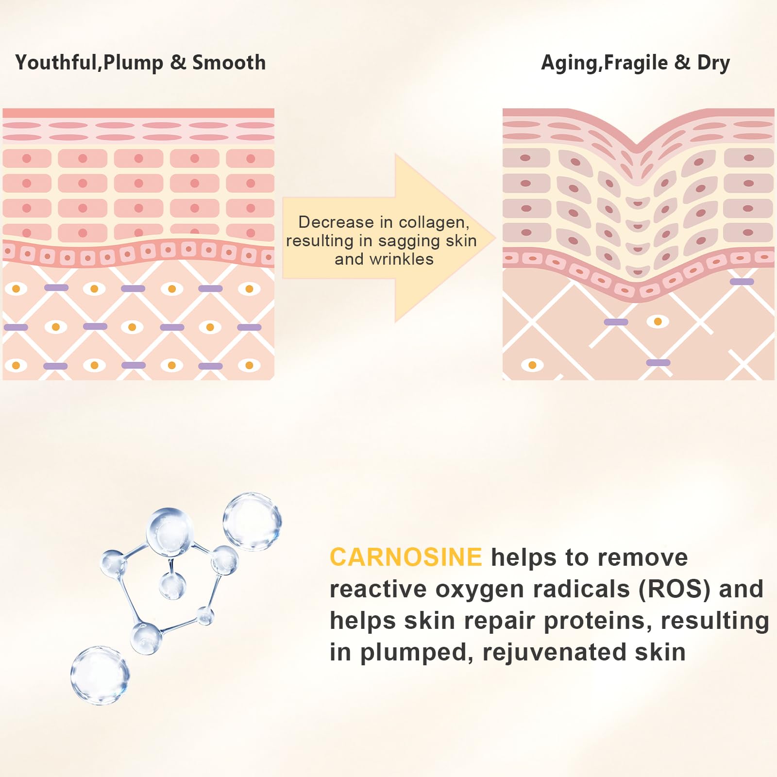 KISSIO Peptide Serum - Anti-Wrinkle Facial Serum with Peptides and Carnosine,Vitamin C,Hyaluronic Acid to Hydrating and Reduce Fine Lines,Skin Care for Face,Vegan,1 Fl Oz