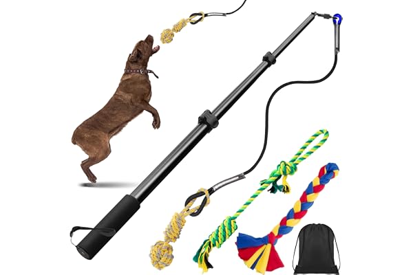 Ycozy Upgraded Flirt Pole for Dogs Heavy Duty with 3 Detachable Replacement Rope Toys for Chase and Tug of War Outdoor Exerci