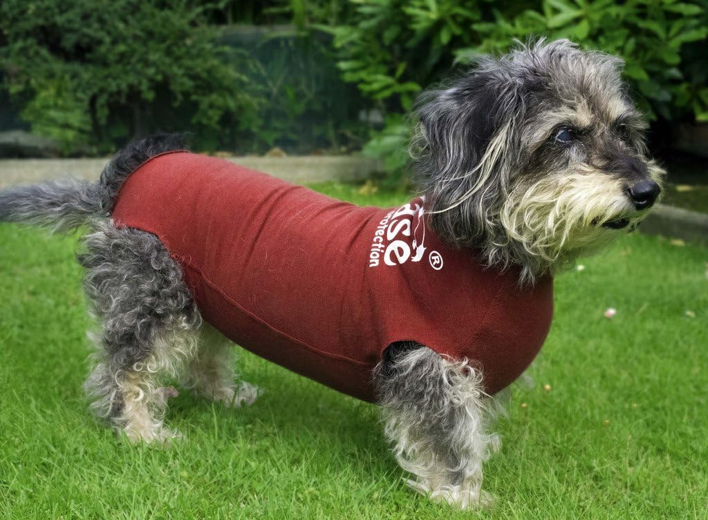 DogEase Pet Wound Protection Suit - Great alternative to Buster collar cone! (XXL - 65cm (25 Kg +))