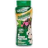 BLACK (GOLD) KOW Dynamite 2 lb All Purpose 9 Month Plant Food-(887763) | Provides 9 months of continuous feeding, contains essential micronutrients, ideal for indoor and outdoor plants.
