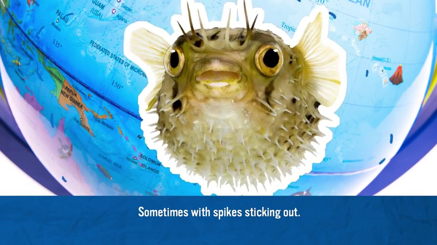 6 Educational+Insights+GeoSafari+Featuring+Learning