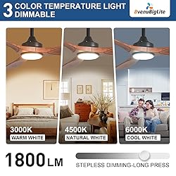 BvenuBigLite Outdoor Ceiling Fan with Light: 52