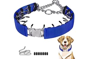 Toptakeit Pinch Prong Collar for Large Medium Small Dogs, Stainless Steel Choke Collar for Dogs with Qucik Release Buckle Blue M