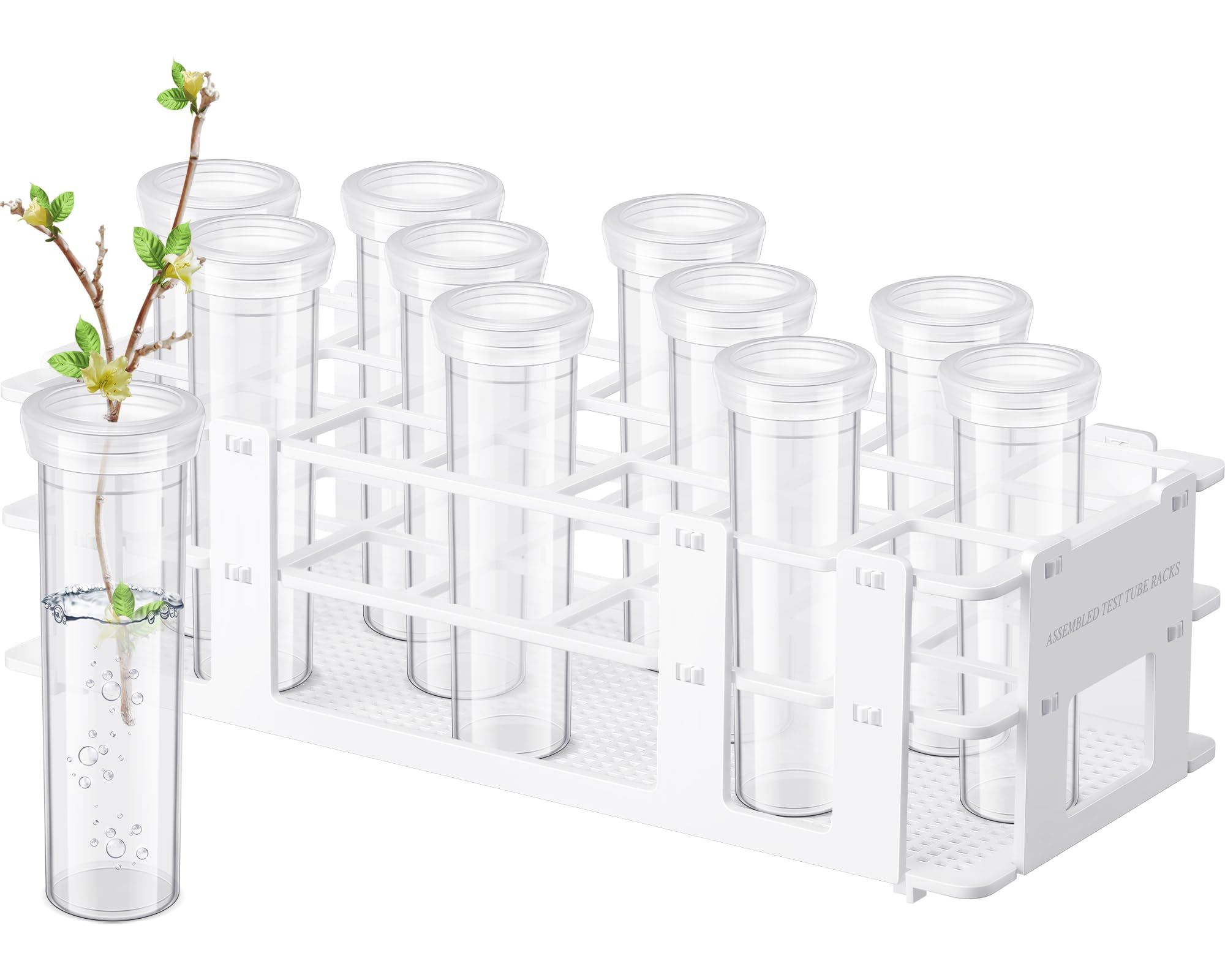 Photo 1 of Willinglong 11 Pcs 60ml Large Floral Tubes with Rack Holder Set for Milkweed Cuttings Large Floral Water Tubes Detachable Flower Holders for Monarch Butterfly Habitat Flower Arrangements