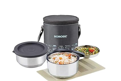 borosil carry fresh stainless steel insulated lunch box