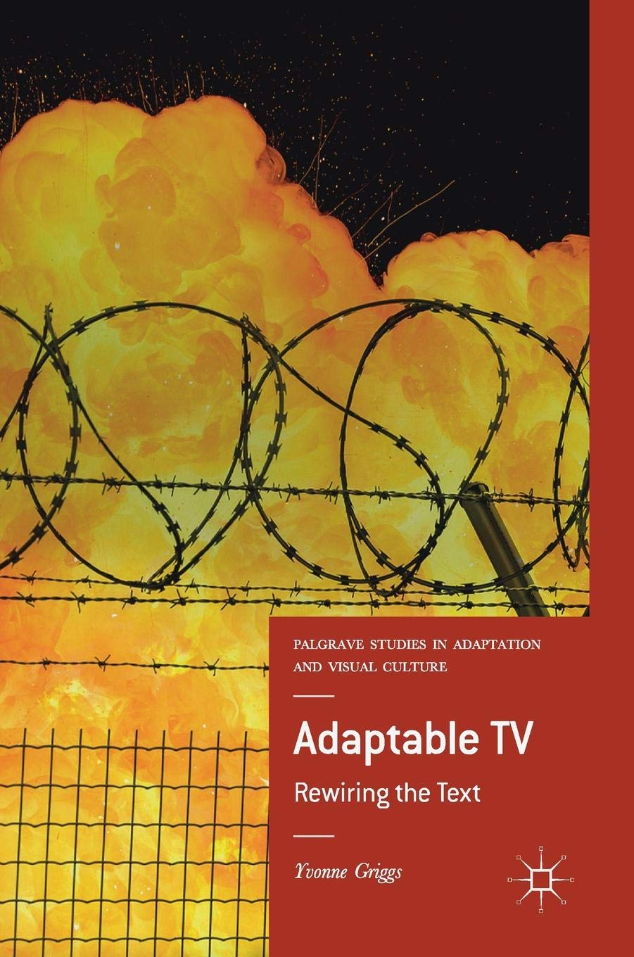 Adaptable TV: Rewiring the Text (Palgrave Studies in Adaptation and Visual  Culture): Yvonne Griggs: 9783319775302: Amazon.com: Books