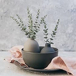 Tiyard 18pcs Eucalyptus Stems Artificial Eucalyptus