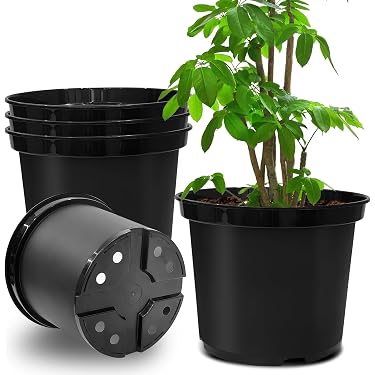 pot for plant Clear Plastic Nursery Pots main image 0