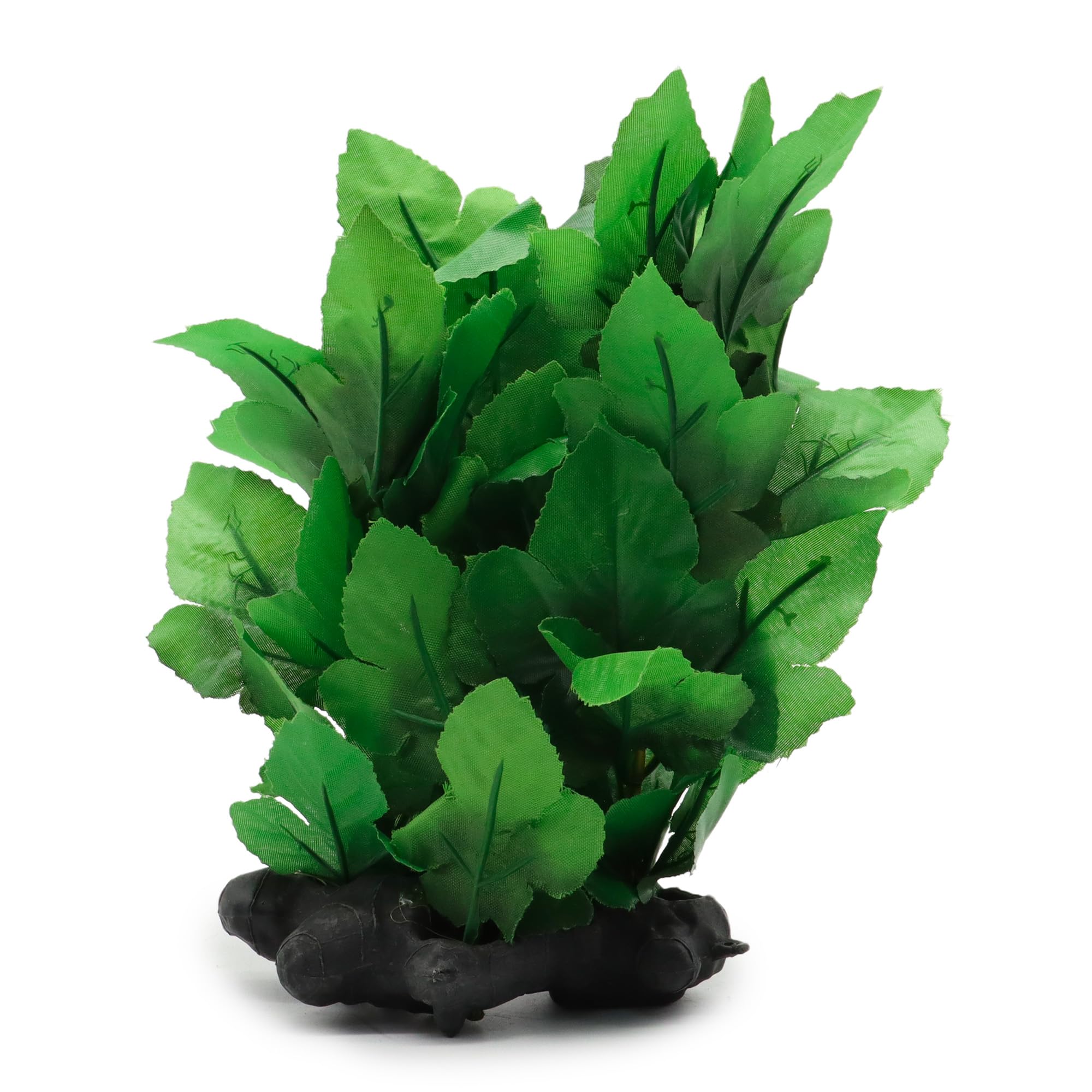 WAVE Plant Replica Hygrophila, 30 cm