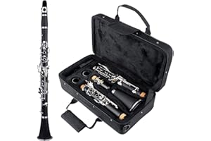 TEACHER APPROVED! Carolina Winds Reliable Bb Clarinet (cw101cla)