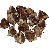 25 Seeds Moringa oleifera Drumstick Tree Seeds Garden, Lawn, Supply, Maintenance