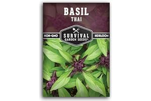 Survival Garden Seeds - Thai Basil Seed for Planting - 1 Packet with Instructions to Plant and Grow Asian Basil Indoors or Outdoors in Your Home Vegetable Garden - Non-GMO Heirloom Variety