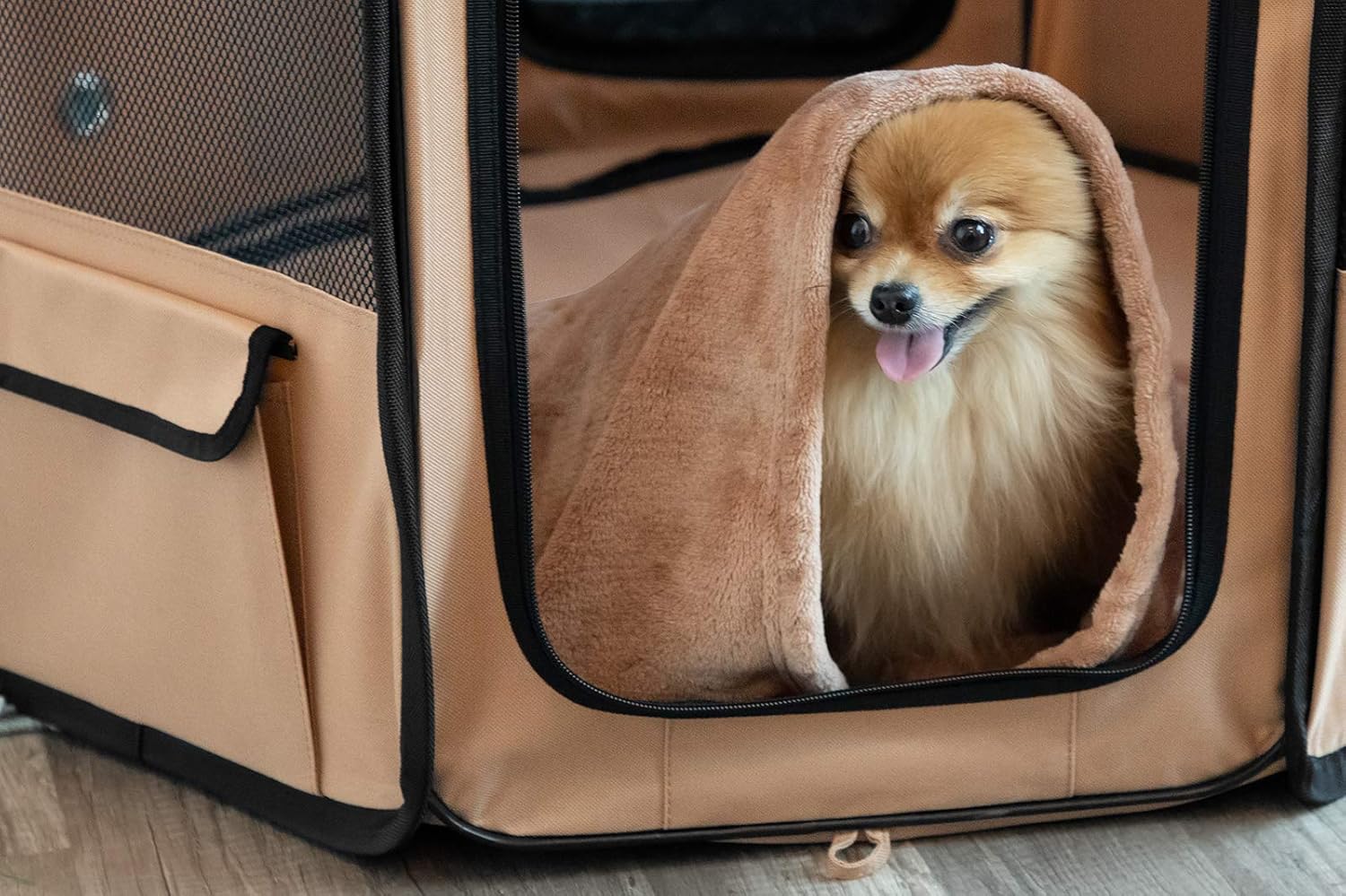 indoor canine playpen