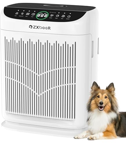 Amazon.com: ZXBEER Replacement Filter Compatible with AP380 Air