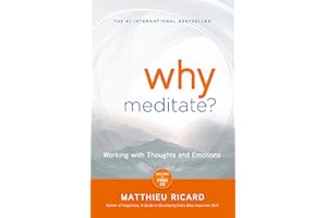 Why Meditate?: Working with Thoughts and Emotions