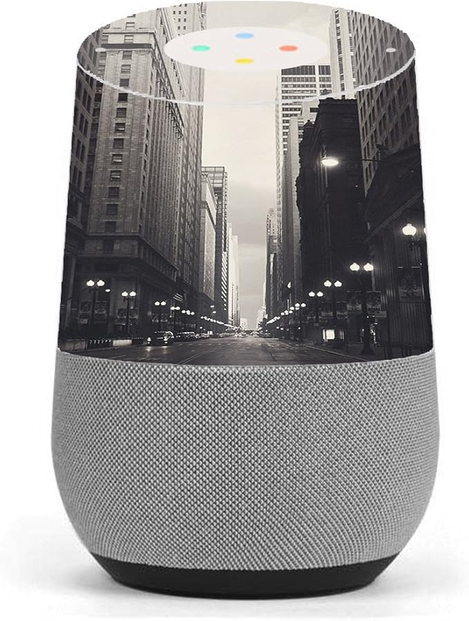 google home skins