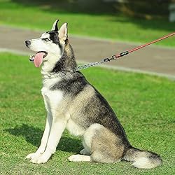 CBBPET Dog Prong Collar, Adjustable Dog Training