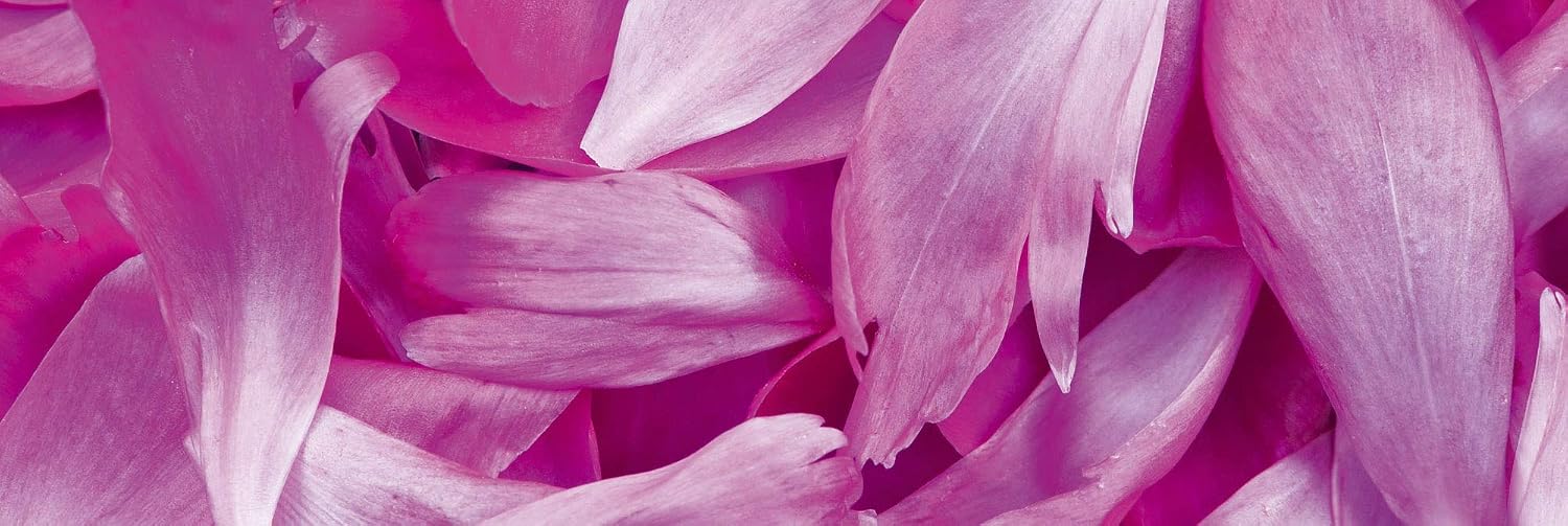DIMEX LINE Peel and Stick Kitchen Backsplash Sticker Purple Petals, Rosa, 180 x 60 cm - Image 4