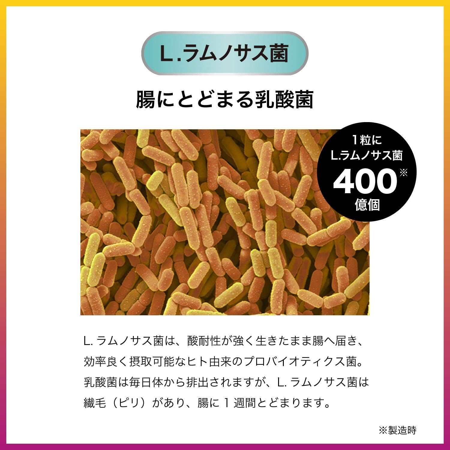 Amazon Body Aura ボディオーラ L ラムノサス菌 発酵小麦胚芽エキス ミトコンドリア サプリメント 30日分 新日本製薬 Body Aura 乳酸菌