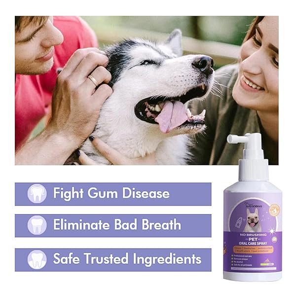 COLORCASA 2 PCS PET ORAL CARE SPRAY,2023 NEW PET CLEAN TEETH SPRAY,PET CLEAN TEETH CLEANING SPRAY FOR DOGS & CATS,PET ORAL SPRAY CLEAN TEETH,PETCLEAN NO BRUSHING PET ORAL CARE SPRAY