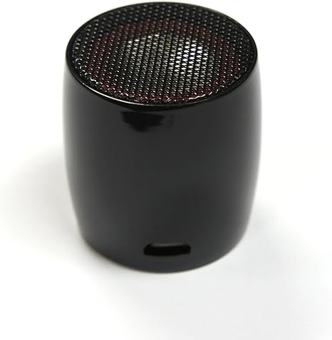 smallest portable speaker