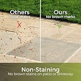 Garden Lawncare Guy Seed & Turf Feed - Pre Seeding Fertiliser - 3 in 1 view 5
