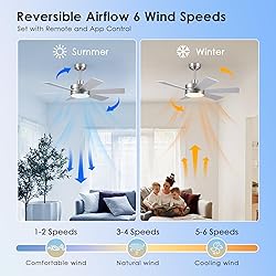42 inch Ceiling Fans with Lights, Ceiling Fan with