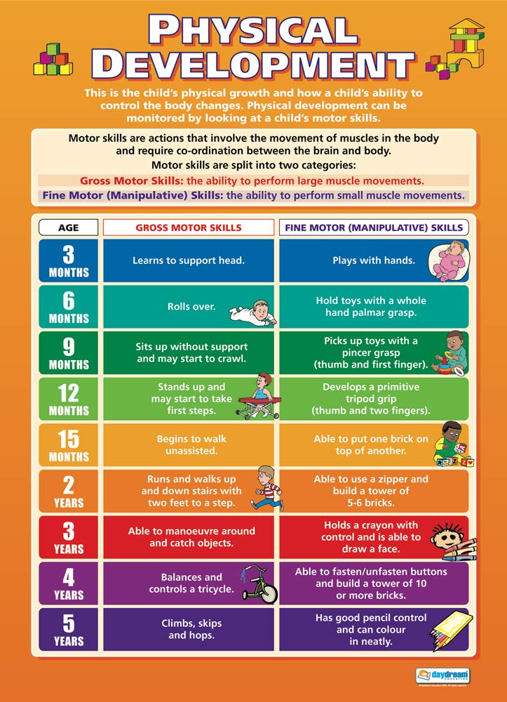 Daydream Education Physical Development | Child Development Posters | Laminated Gloss Paper measuring 850mm x 594mm (A1) | Child Care Class Posters | Education Charts