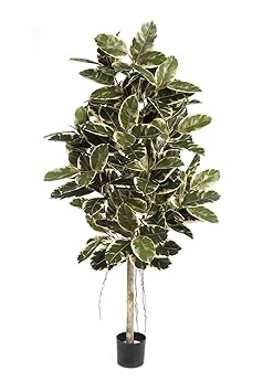 artplants Set 'Kunstbaum Gummibaum + Gratis UV Schutz Spray' - Kunst Ficus Elastica Devi, Naturstamm, grün-weiß, 210 cm