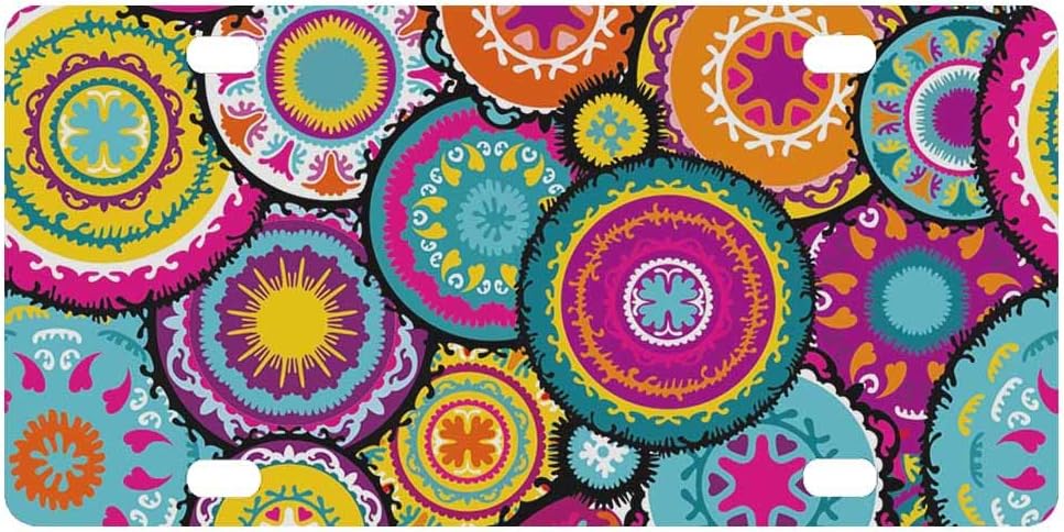 Amazon INTERESTPRINT Colorful Circles Pattern Funny License Plate 