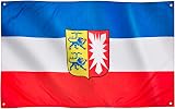Runesol Schleswig Holstein Flag 91x152cm 4 Grommets Premium Polyester