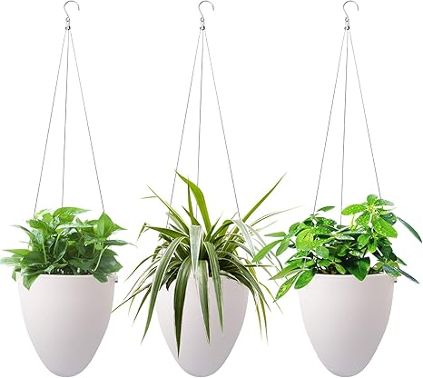 Amazon Com Hwashin Self Watering Hanging Planter 3 Pack Unique Eggshell Hanging Succulent Flower Pots Home Office Indoor Decorative Container White Kitchen Dining