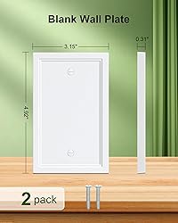 TREEWELL 2-Pack Blank Outlet Cover Wall