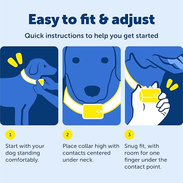 PETSAFE NANOBARK COLLAR – WORLD’S SMALLEST BARK COLLAR FOR SMALL AND MEDIUM DOGS, 10 LEVELS OF STATIC STIMULATION, WATERPROOF AND RECHARGEABLE ANTI-BARK TRAINING, COMFORTABLE AND LOW-PROFILE DESIGN