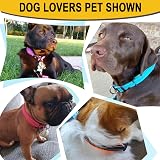 ATETEO Reflective Adjustable Dog Collar with Neoprene Padding Black S 9-14.2 in view 7