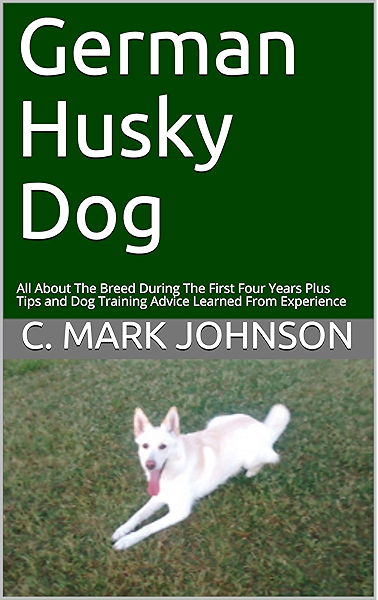 husky plus german shepherd