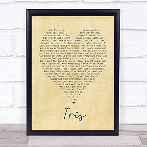 123 BiiUYOO Iris Goo Goo Dolls Vintage Heart Quote Song Lyric Print 14