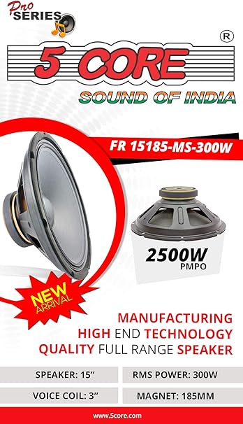5 core 300 watt speaker
