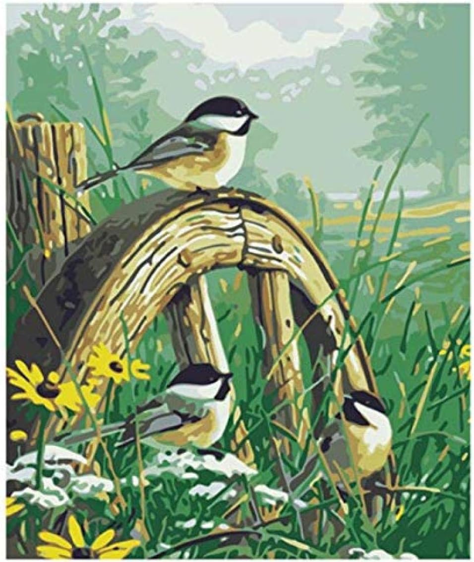 Paint By Numbers Paint By Numbers Paintings For Boyfriend Adult Kids Seniors Junior Bird Tweet Early Morning Animal 40X50CM -No Frame