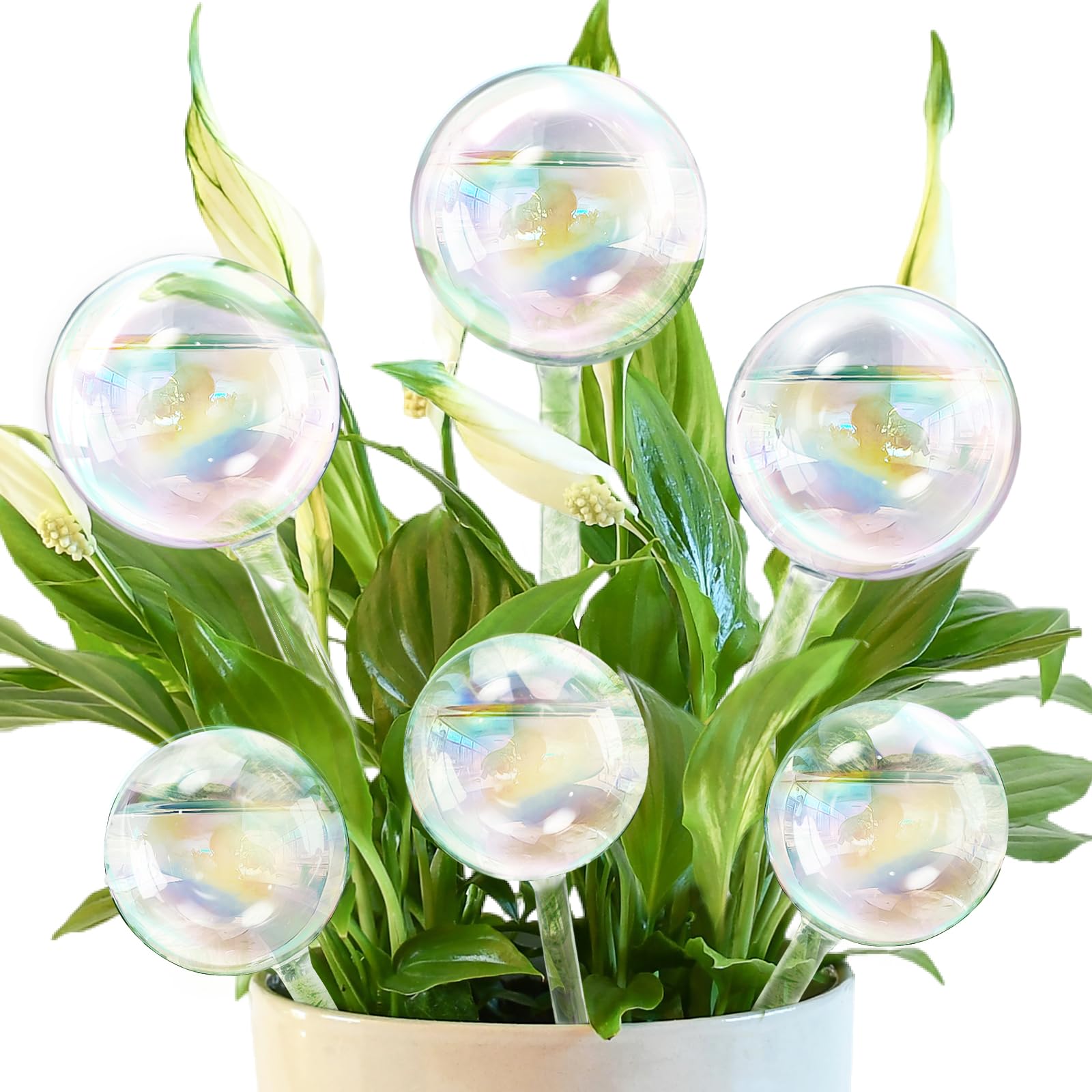 Photo 1 of Pynqdfu 6Pcs Plant Watering Globes,Iridescent Rainbow Glass Self Watering Planter Insert,Clear Watering Bulbs for Indoor,Outdoor,Flowerpot,Hanging Plants,Home Garden(3 Large+3 Small)