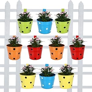 Trust Basket Round Dotted Railing Planters (Multicolour, Pack of 10)