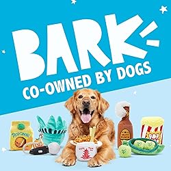 Barkbox 2 in 1 Interactive Plush Dog Toy - Rip and